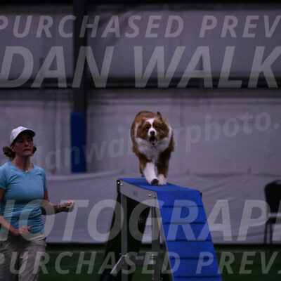 Roo-Elizabeth-Rowan-09039