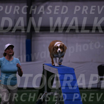 Roo-Elizabeth-Rowan-09041