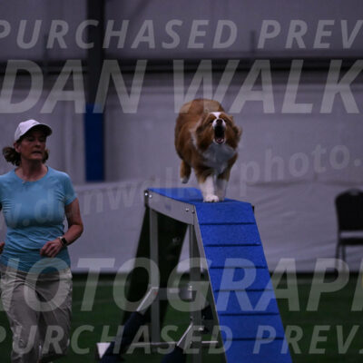 Roo-Elizabeth-Rowan-09045