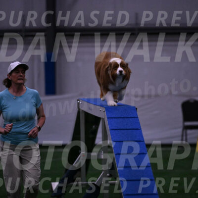 Roo-Elizabeth-Rowan-09046