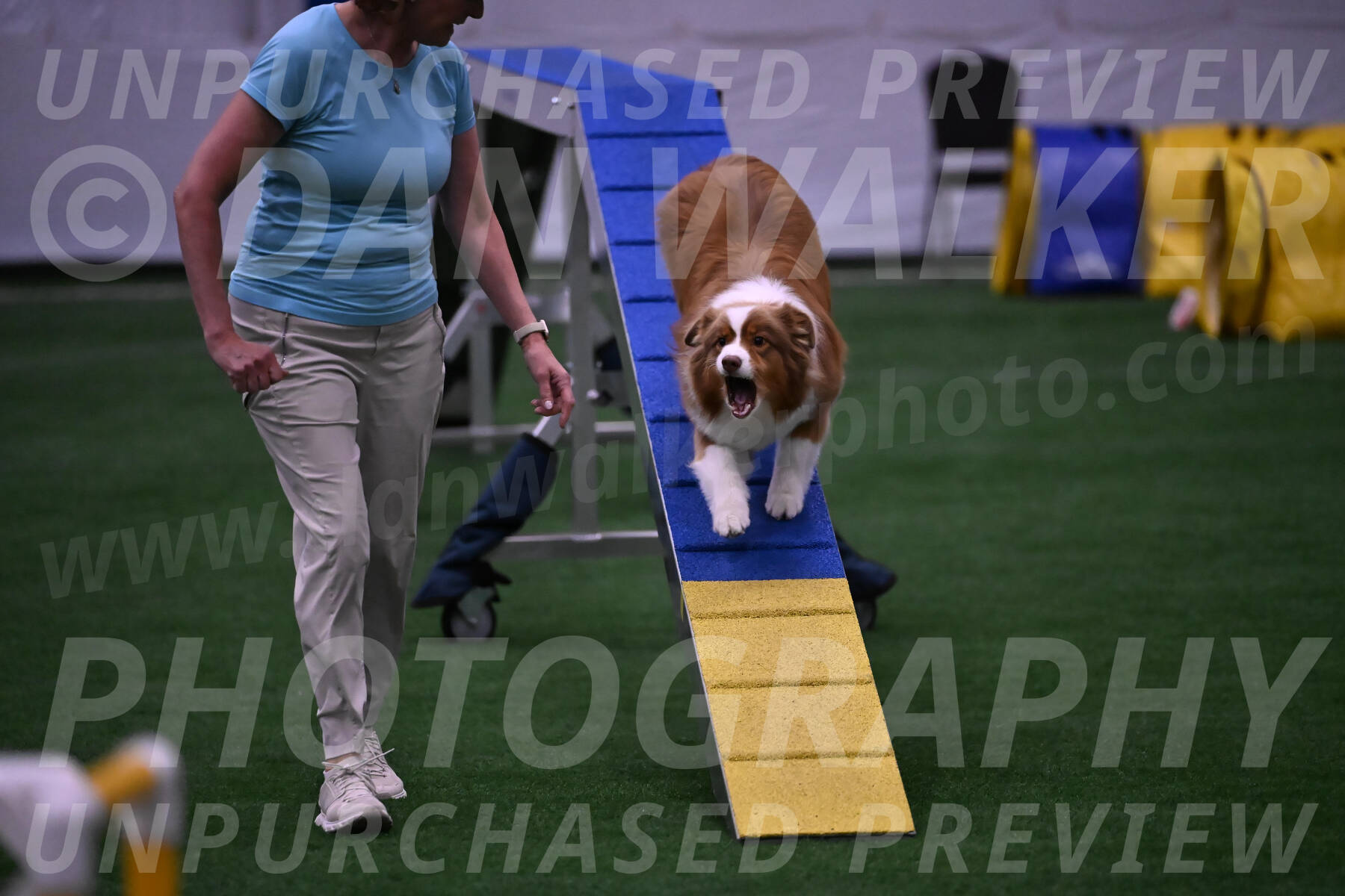 Roo-Elizabeth-Rowan-09057