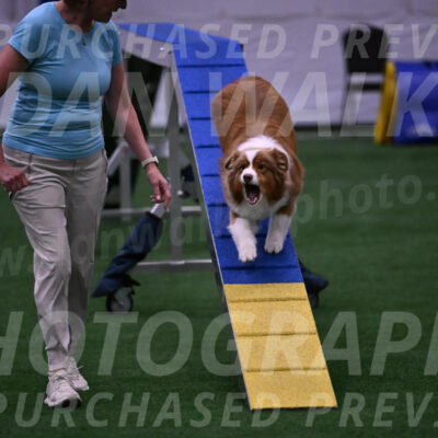 Roo-Elizabeth-Rowan-09057