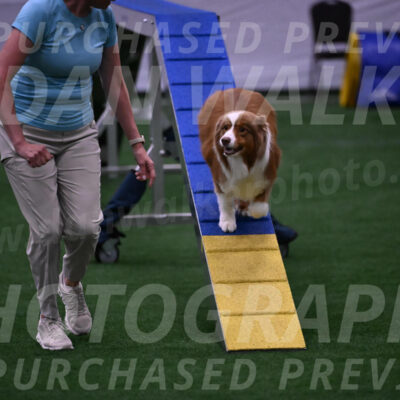 Roo-Elizabeth-Rowan-09060