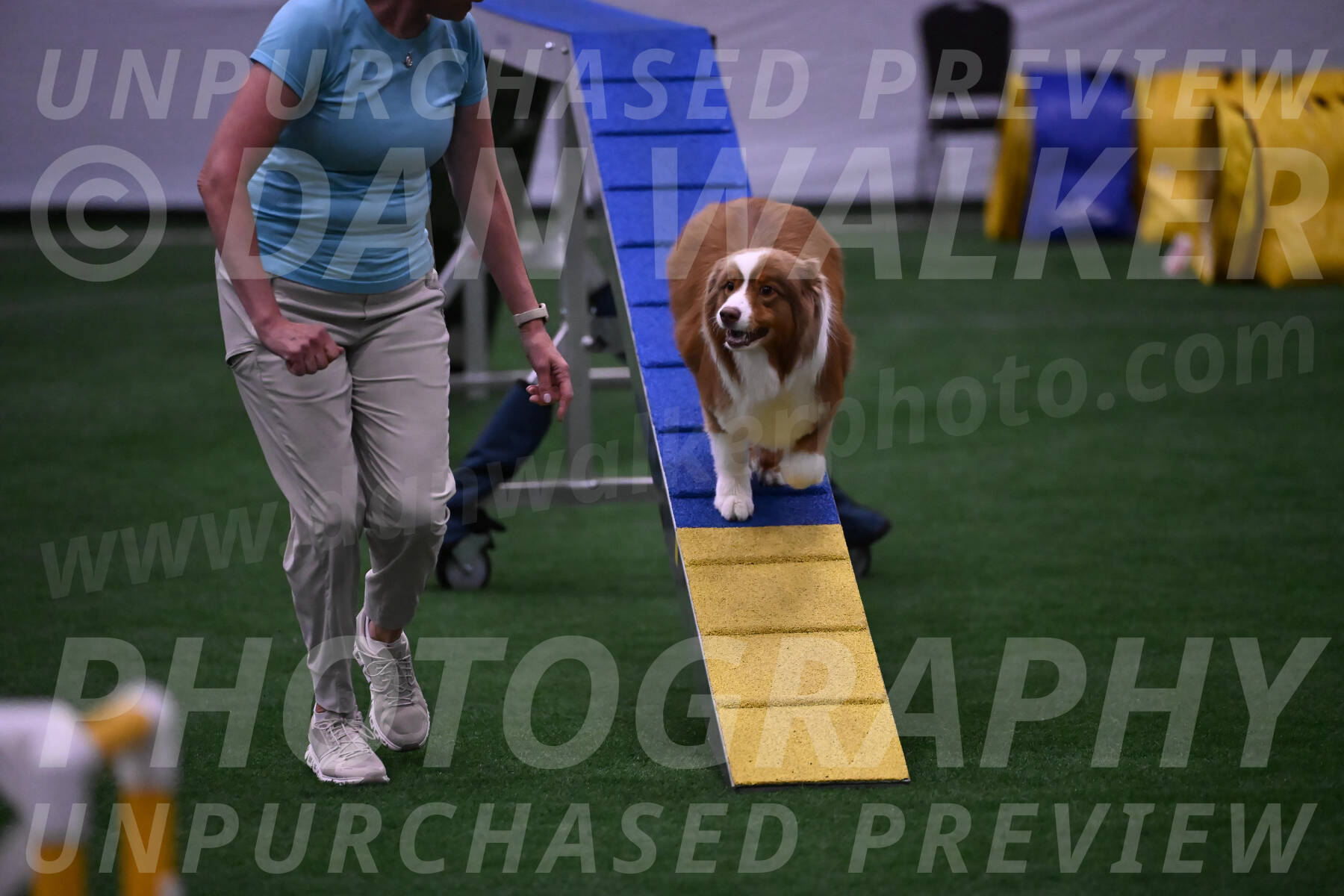 Roo-Elizabeth-Rowan-09060