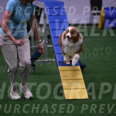 Roo-Elizabeth-Rowan-09061