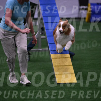 Roo-Elizabeth-Rowan-09062