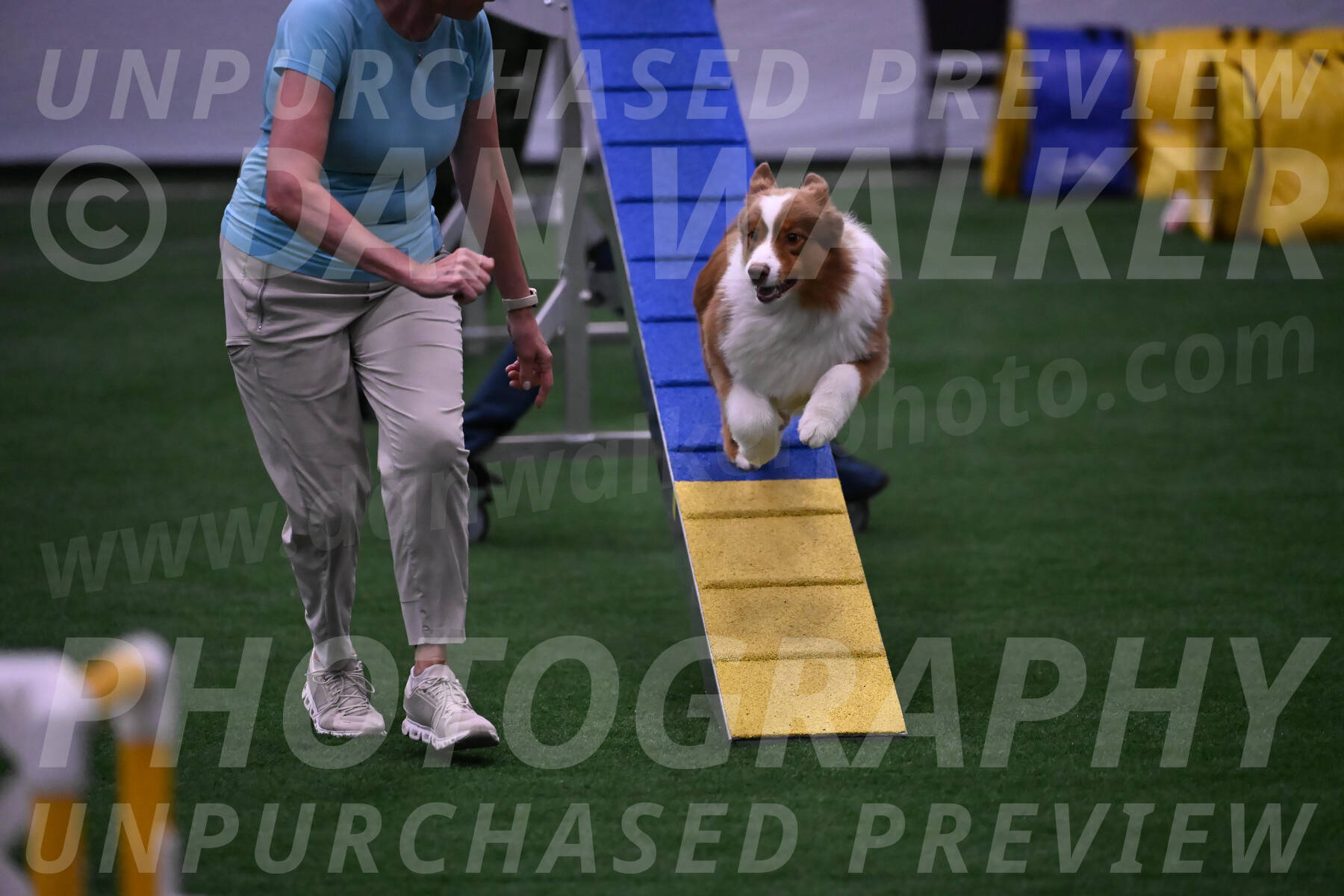 Roo-Elizabeth-Rowan-09062