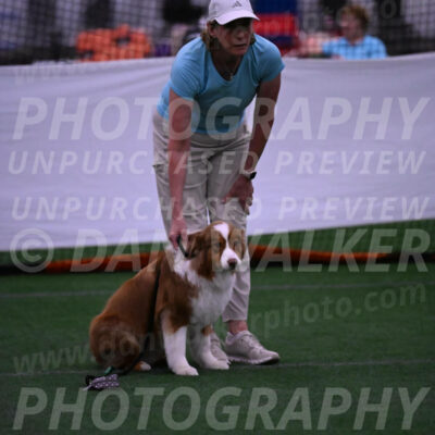 Roo-Elizabeth-Rowan-09069