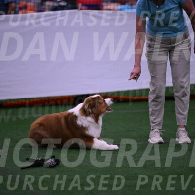 Roo-Elizabeth-Rowan-09071