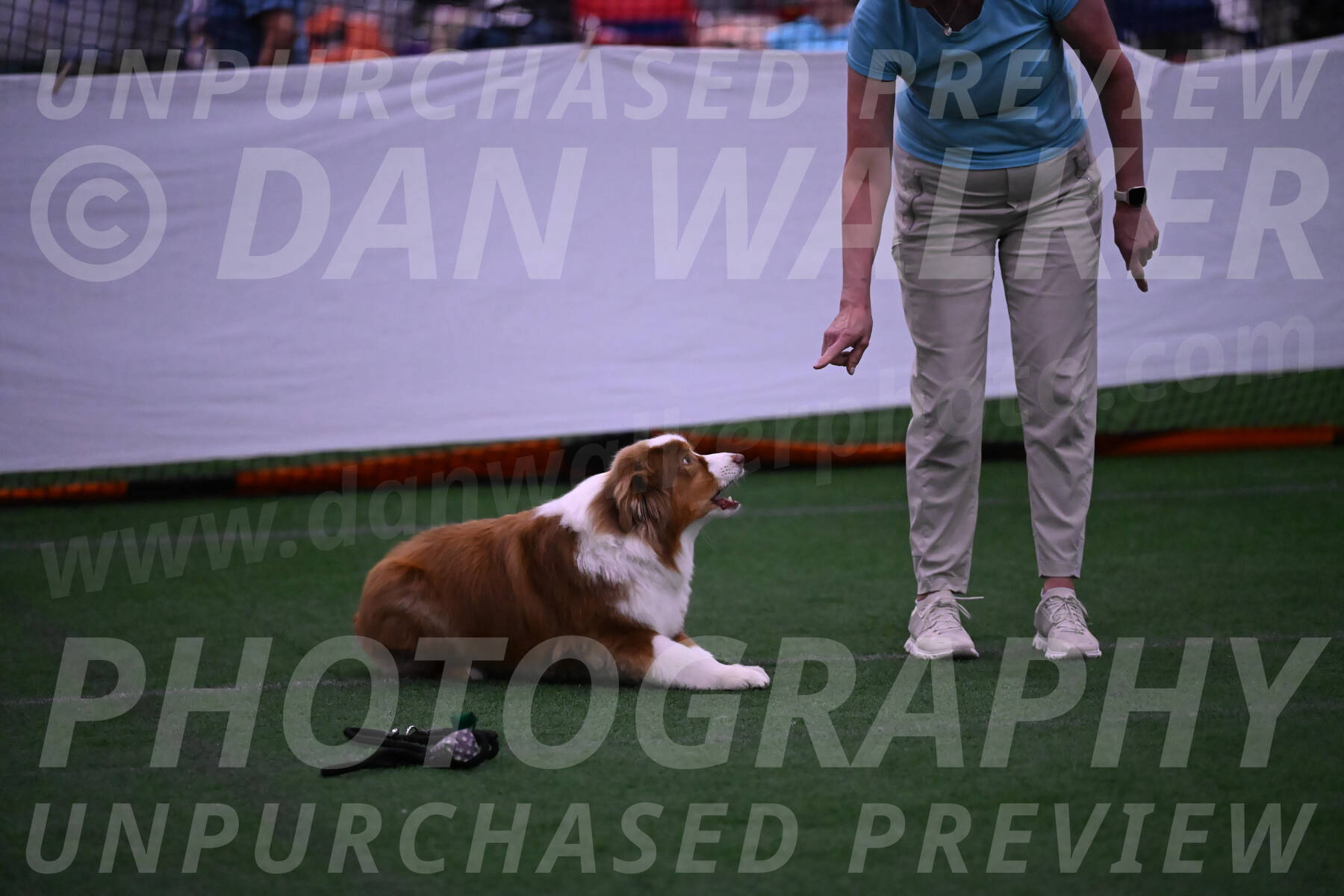 Roo-Elizabeth-Rowan-09071