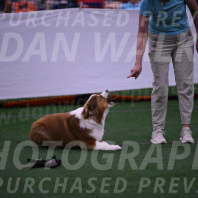 Roo-Elizabeth-Rowan-09072