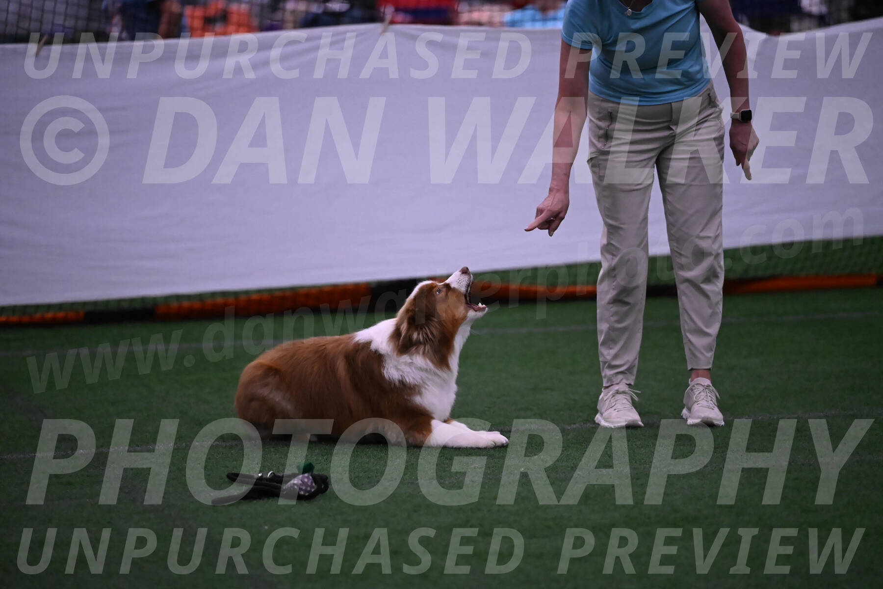 Roo-Elizabeth-Rowan-09072