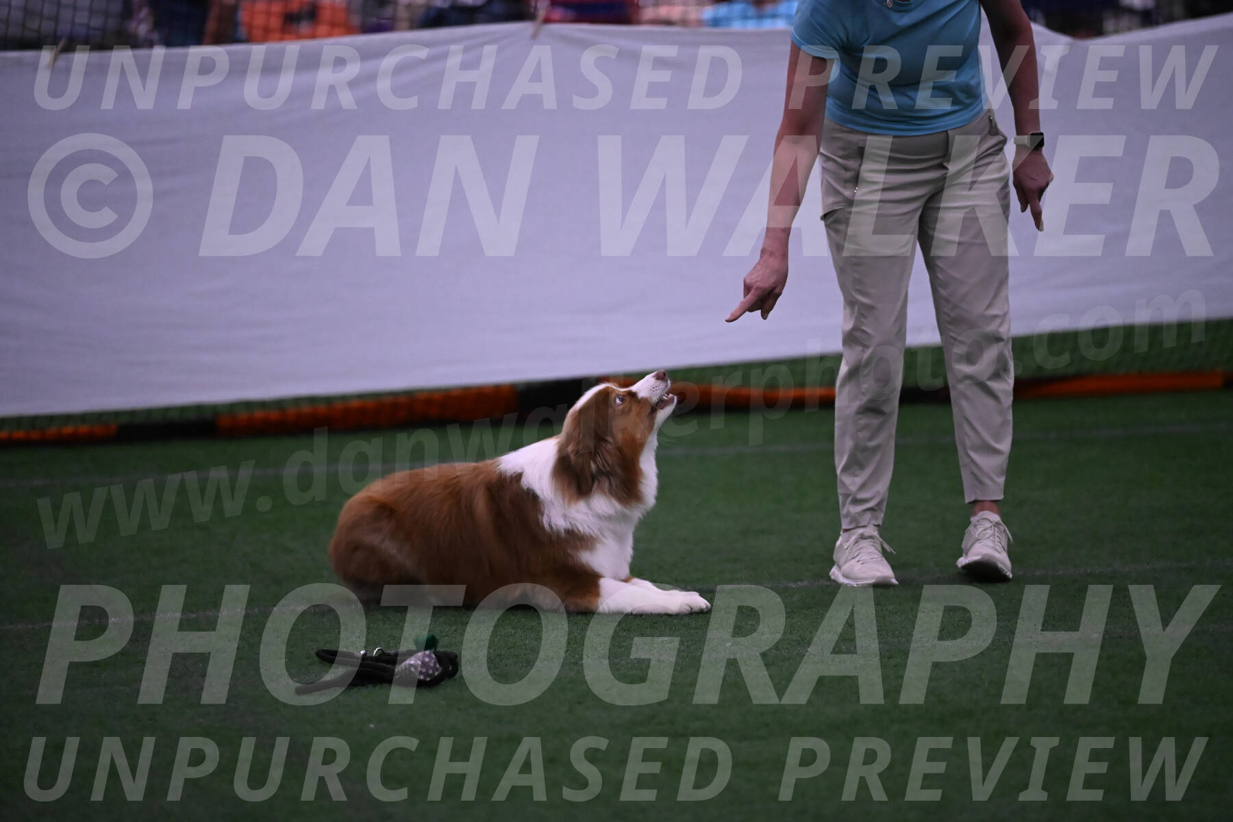 Roo-Elizabeth-Rowan-09073