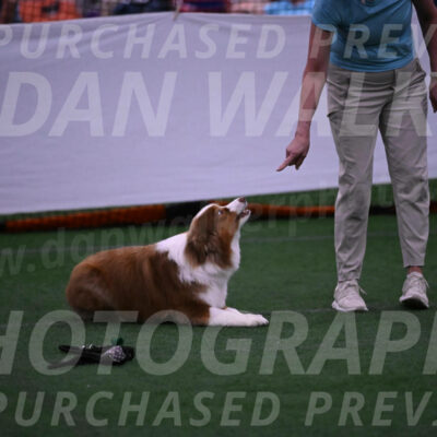 Roo-Elizabeth-Rowan-09073