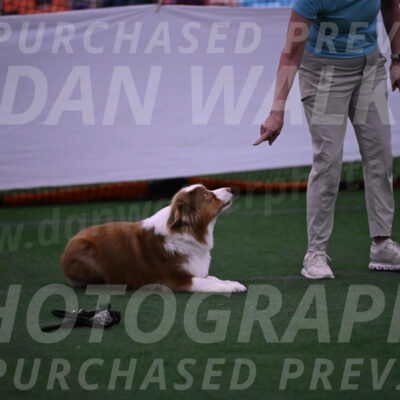 Roo-Elizabeth-Rowan-09074