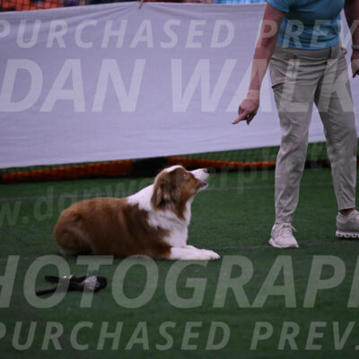 Roo-Elizabeth-Rowan-09075