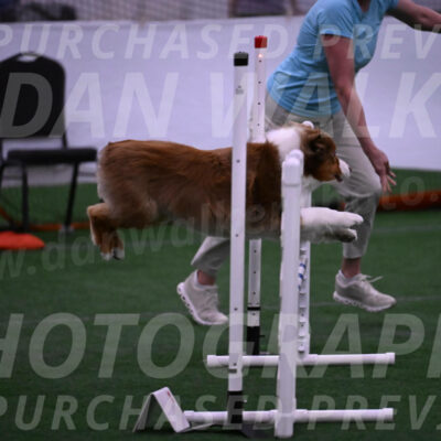 Roo-Elizabeth-Rowan-09081
