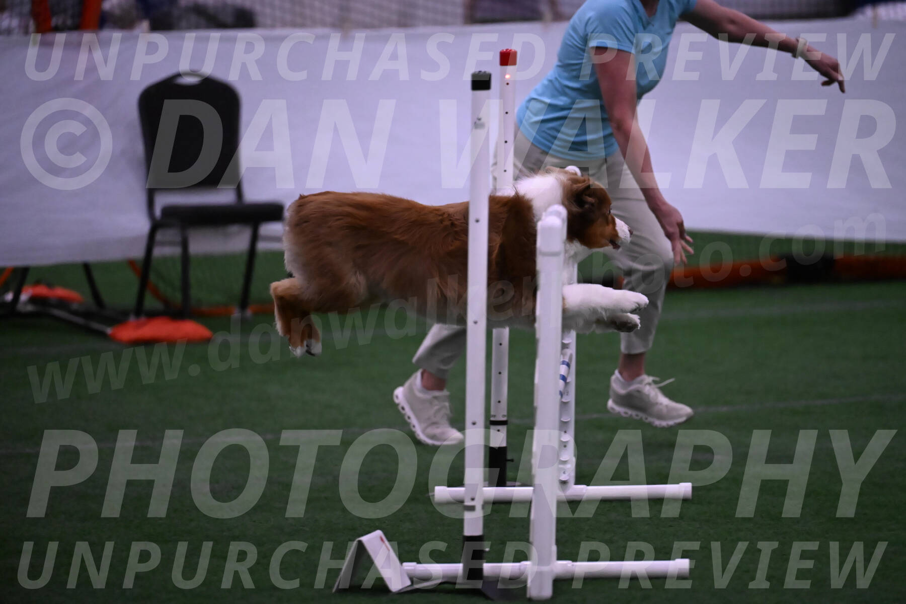 Roo-Elizabeth-Rowan-09081