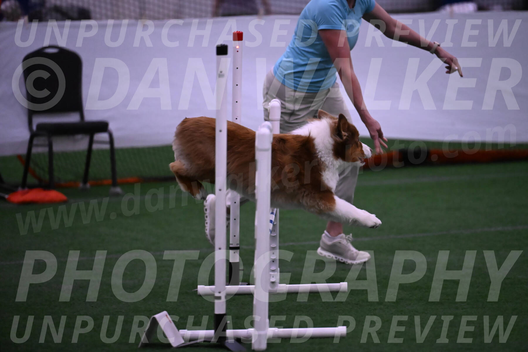 Roo-Elizabeth-Rowan-09082