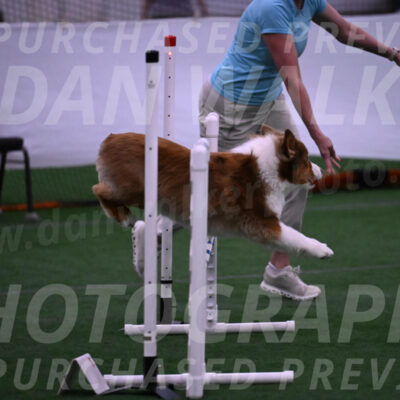 Roo-Elizabeth-Rowan-09082