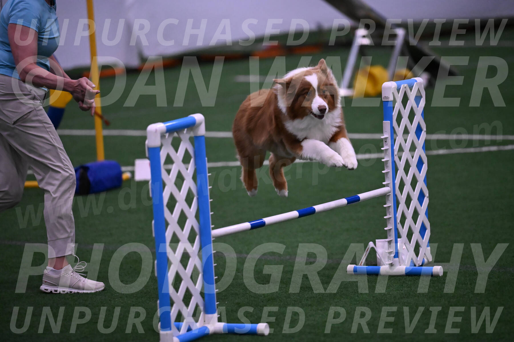 Roo-Elizabeth-Rowan-09083