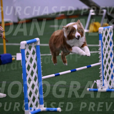Roo-Elizabeth-Rowan-09083