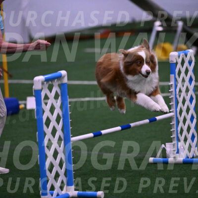 Roo-Elizabeth-Rowan-09084