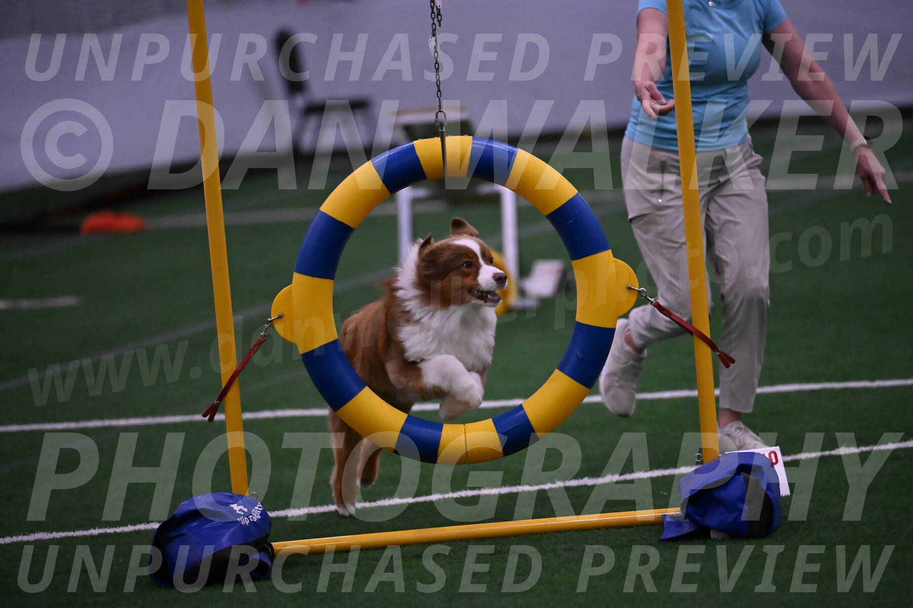 Roo-Elizabeth-Rowan-09093