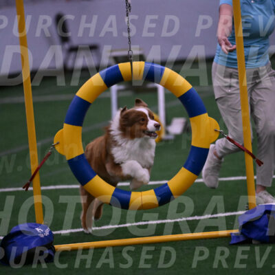 Roo-Elizabeth-Rowan-09093