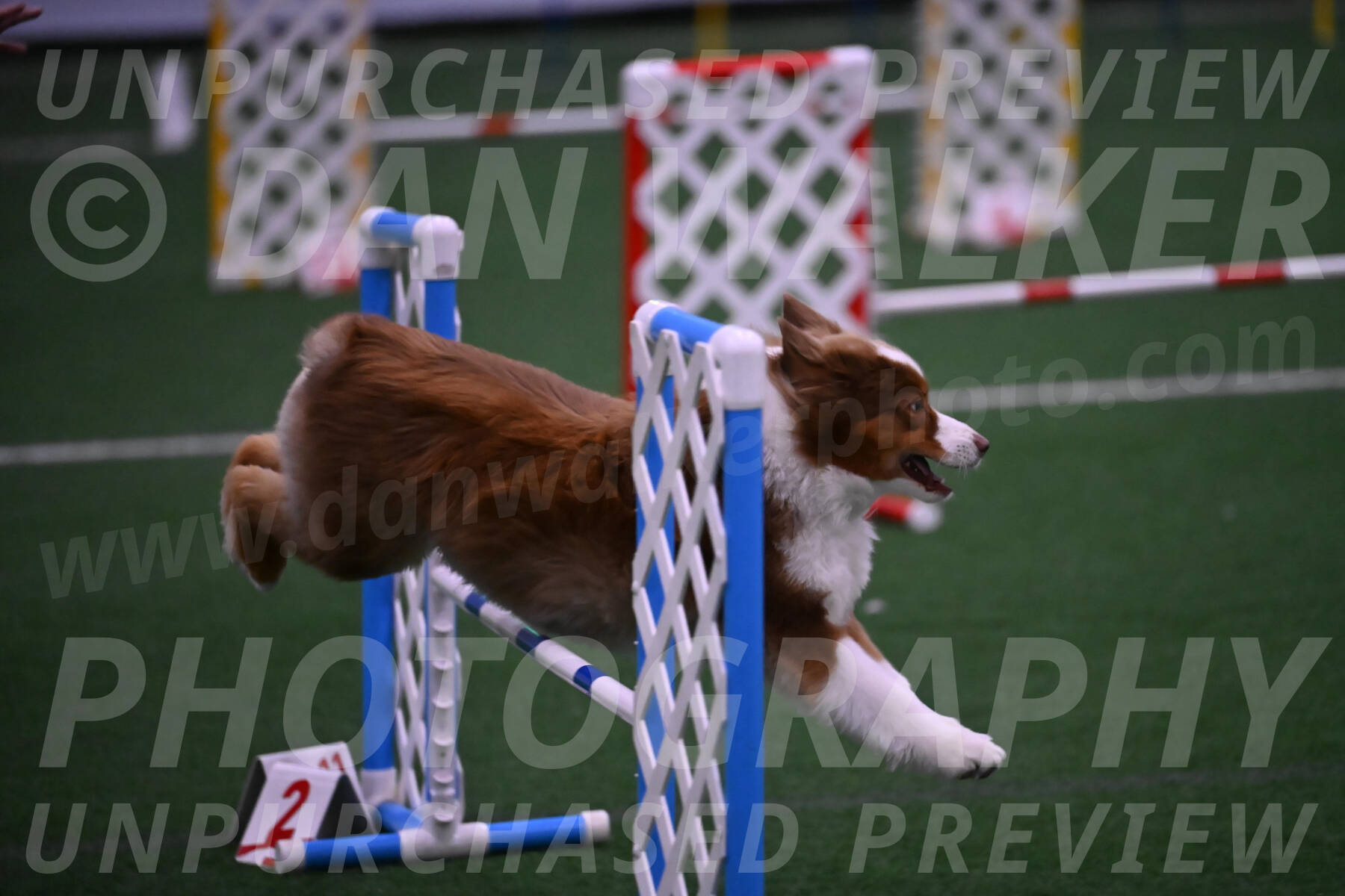 Roo-Elizabeth-Rowan-09099