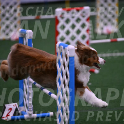 Roo-Elizabeth-Rowan-09099