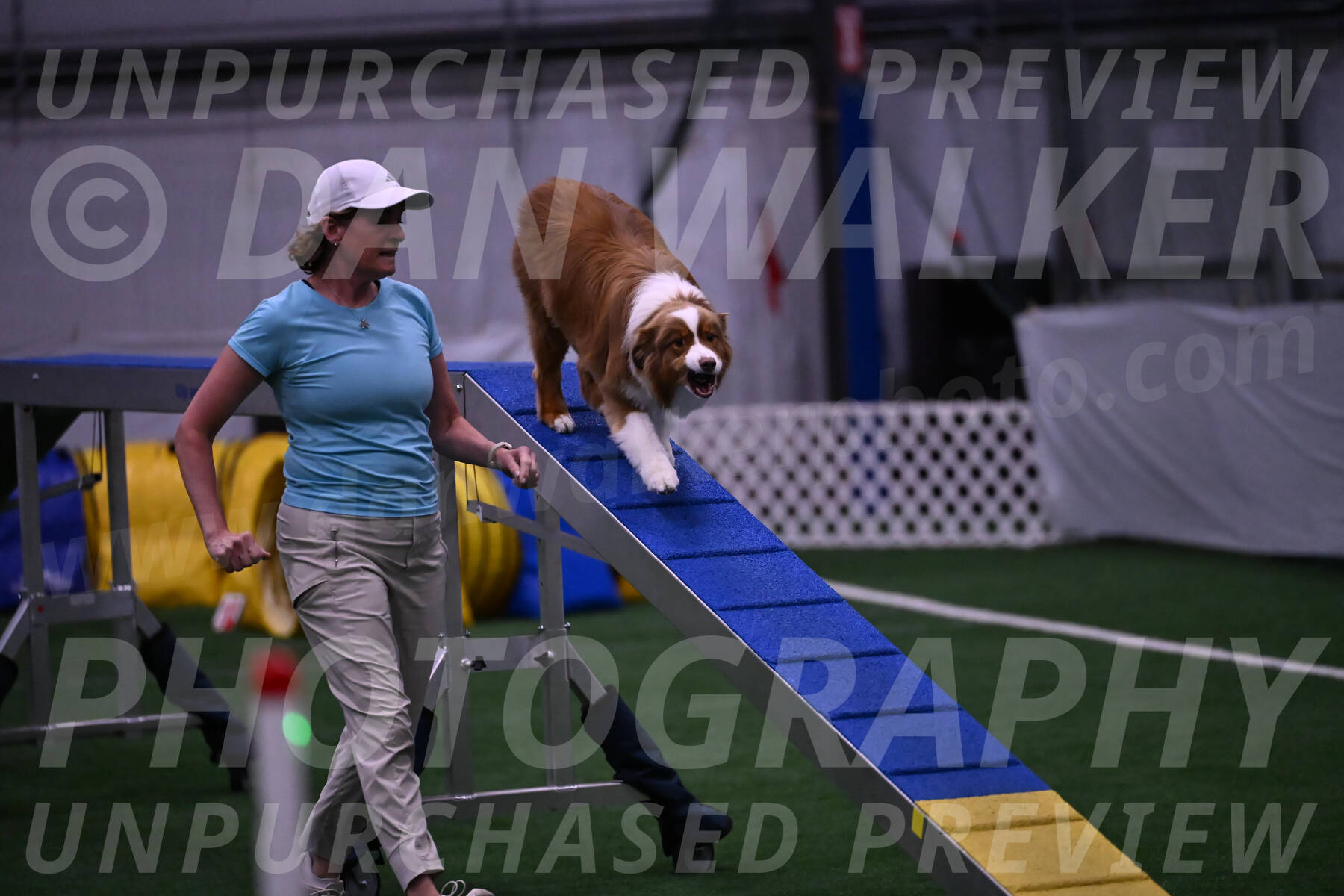 Roo-Elizabeth-Rowan-09106