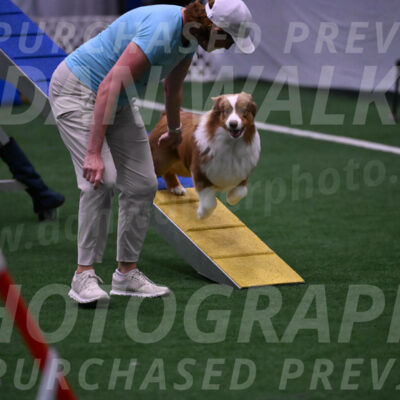 Roo-Elizabeth-Rowan-09117