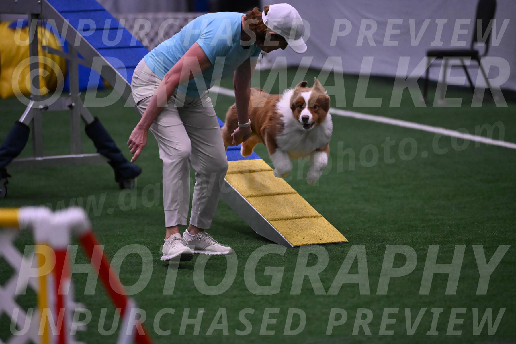 Roo-Elizabeth-Rowan-09118