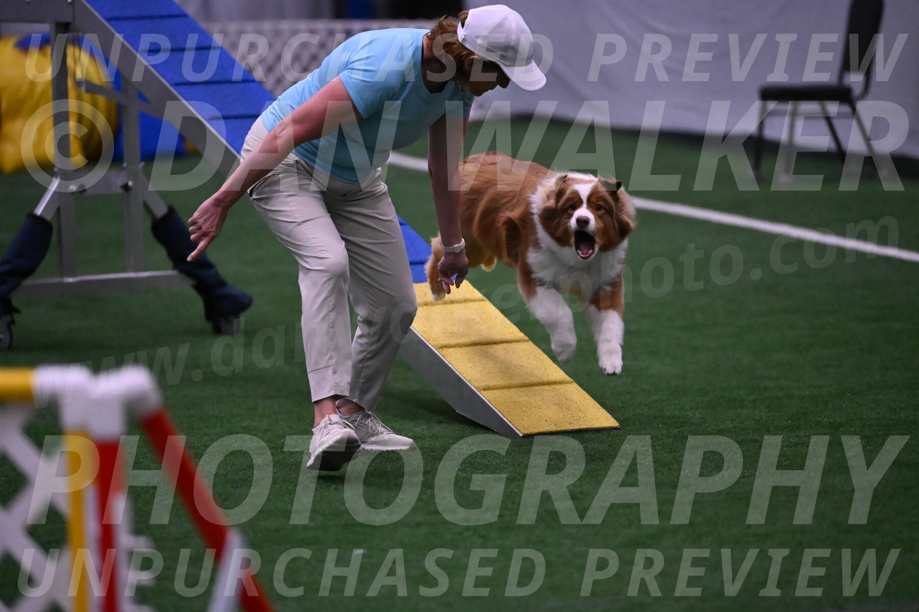 Roo-Elizabeth-Rowan-09119