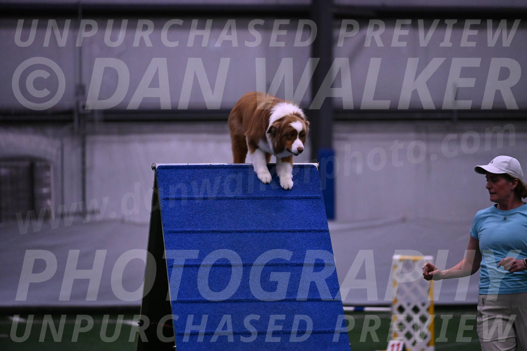 Roo-Elizabeth-Rowan-09120