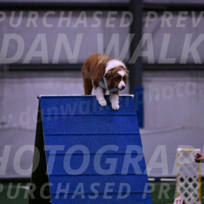 Roo-Elizabeth-Rowan-09120
