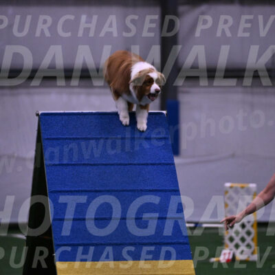 Roo-Elizabeth-Rowan-09123