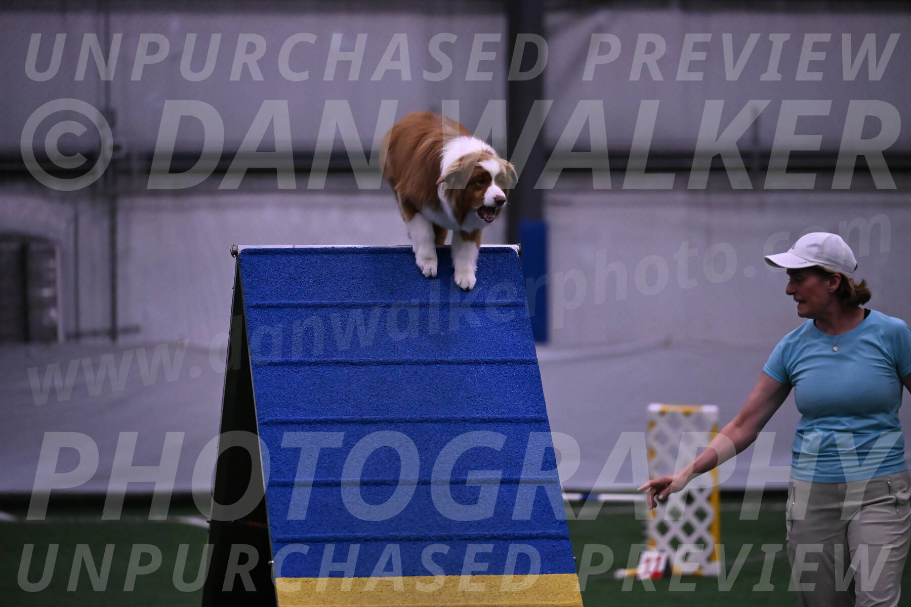 Roo-Elizabeth-Rowan-09123