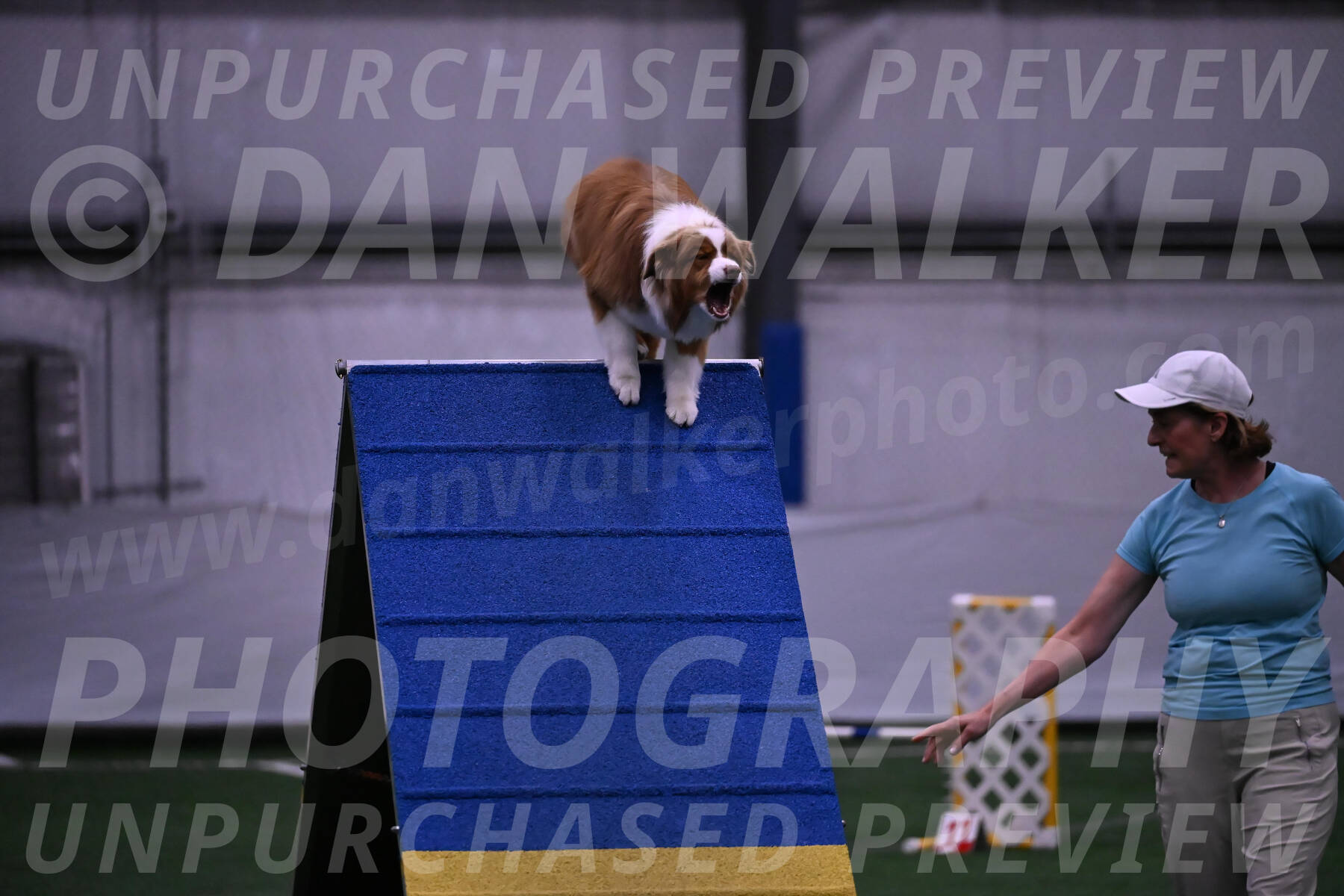 Roo-Elizabeth-Rowan-09124