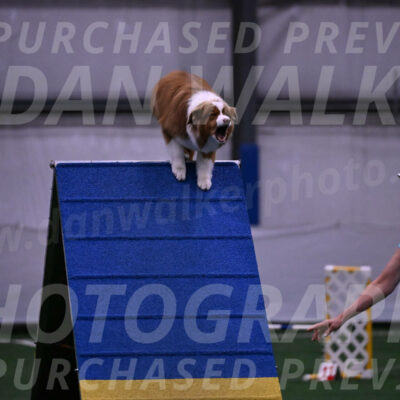 Roo-Elizabeth-Rowan-09124