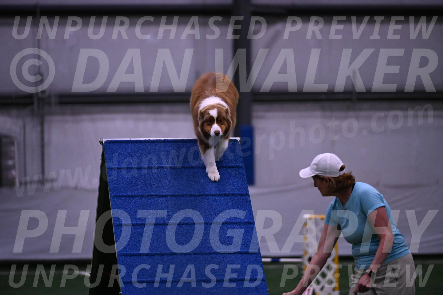 Roo-Elizabeth-Rowan-09128