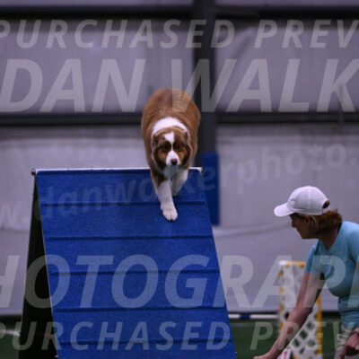 Roo-Elizabeth-Rowan-09128