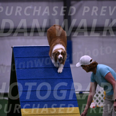 Roo-Elizabeth-Rowan-09131