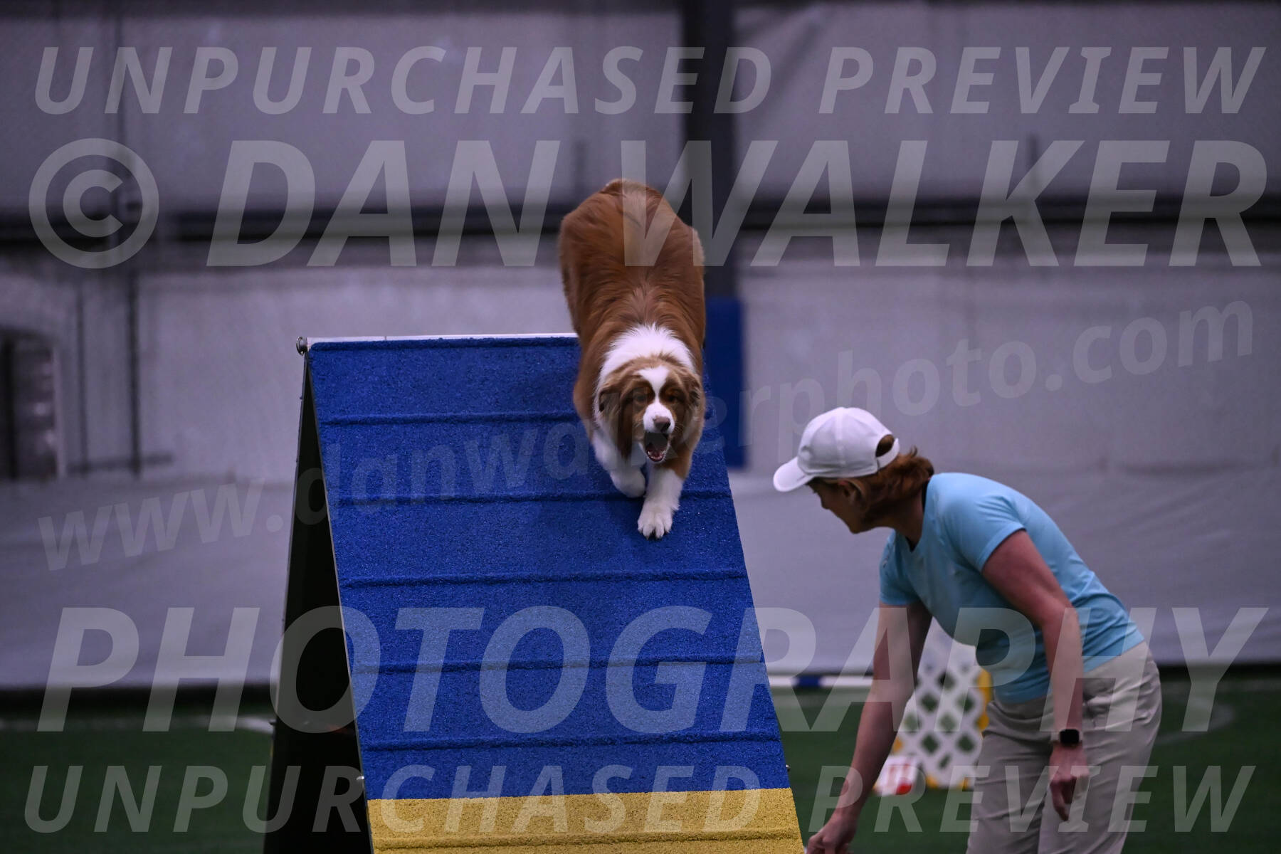 Roo-Elizabeth-Rowan-09131