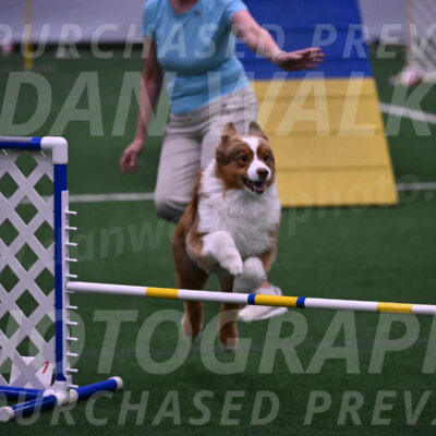 Roo-Elizabeth-Rowan-09144