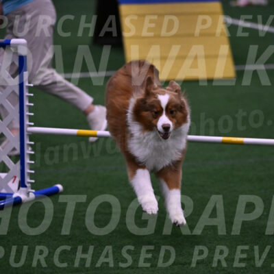 Roo-Elizabeth-Rowan-09148