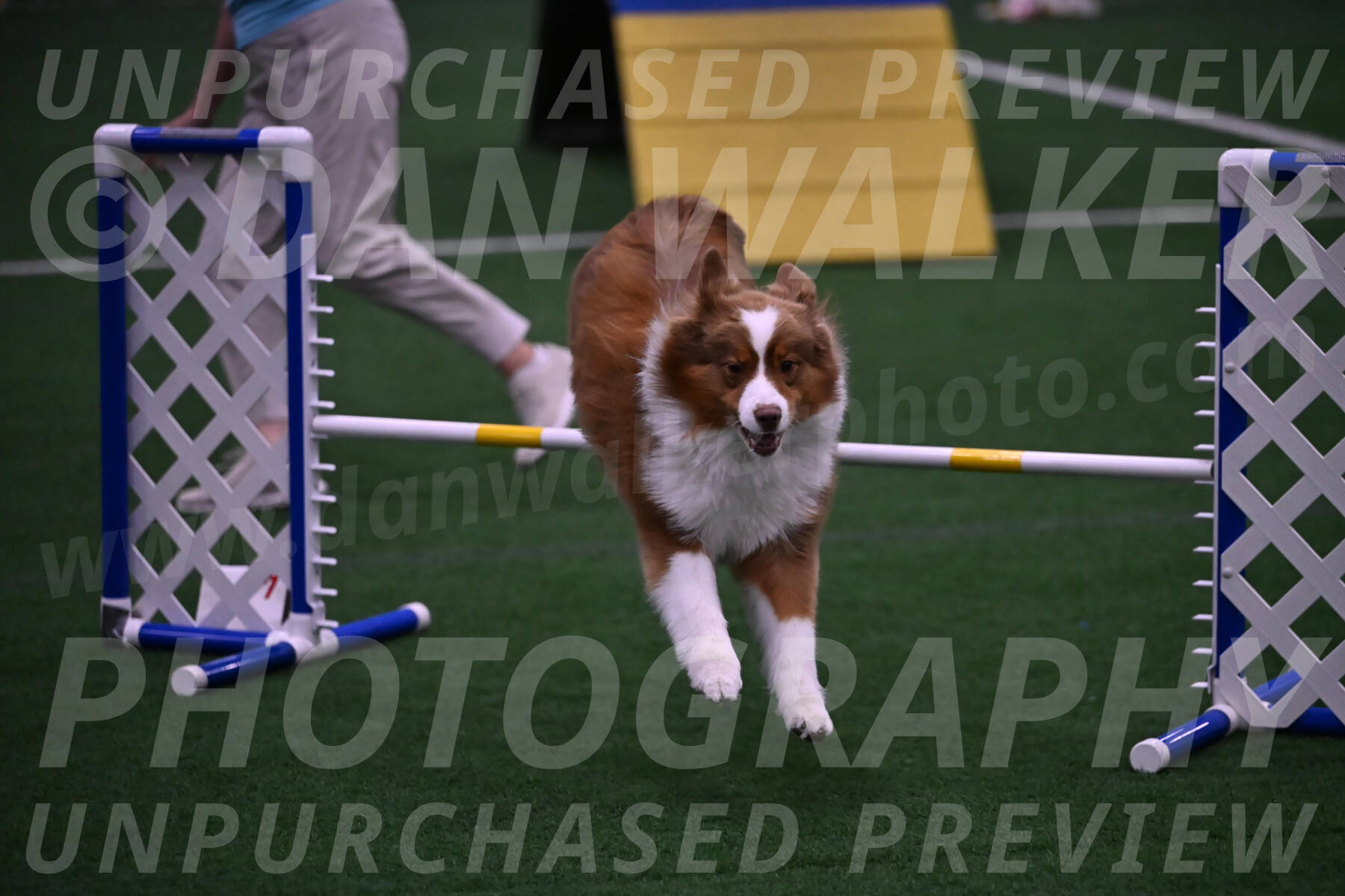 Roo-Elizabeth-Rowan-09148
