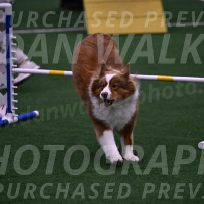Roo-Elizabeth-Rowan-09149
