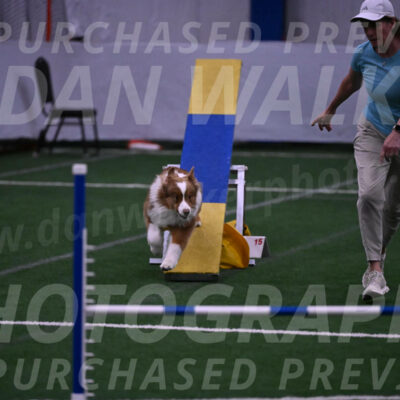 Roo-Elizabeth-Rowan-09158